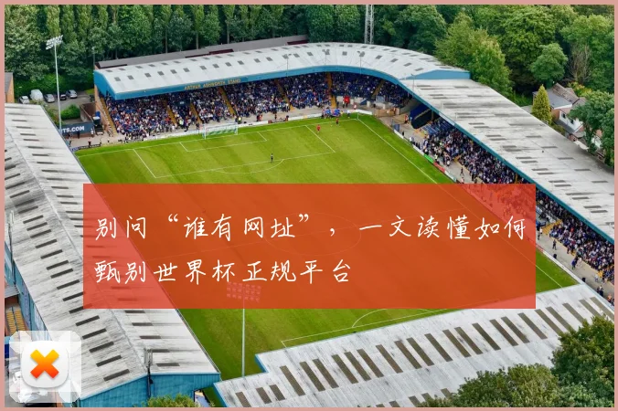 别问“谁有网址”，一文读懂如何甄别世界杯正规平台